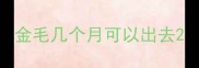 金毛几个月可以出去
