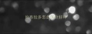 拉布拉多怎么区分好坏