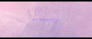 给小狗去虫吃什么