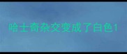 哈士奇杂交变成了白色