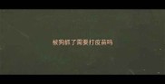 被狗抓了需要打疫苗吗