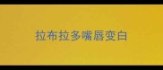 拉布拉多嘴唇变白