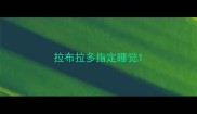 拉布拉多指定睡觉