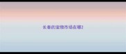 长春的宠物市场在哪