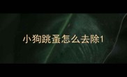 小狗跳蚤怎么去除