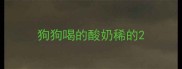 狗狗喝的酸奶稀的