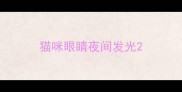 猫咪眼睛夜间发光