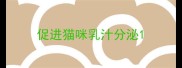促进猫咪乳汁分泌