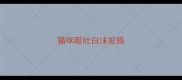 猫咪呕吐白沫发烧