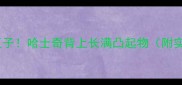 惊现狗豆子哈士奇背上长满凸起物附实拍图