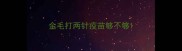金毛打两针疫苗够不够