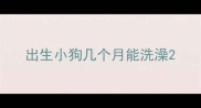 出生小狗几个月能洗澡