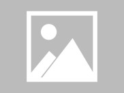 三个月边牧消瘦严重幼犬营养运动全攻略附专业兽医建议