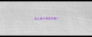 怎么做小狗的衣服