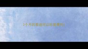 2个月的泰迪可以吃蛋黄吗