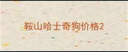 鞍山哈士奇狗价格