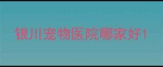 银川宠物医院哪家好