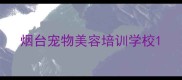 烟台宠物美容培训学校