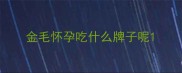 金毛怀孕吃什么牌子呢