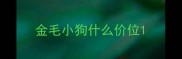 金毛小狗什么价位