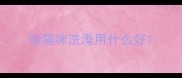 给猫咪洗澡用什么好