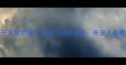 哈士奇开天窗的四大危害与安全指南养宠人必看的真相