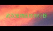 武汉宠物医院排行榜