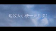 边牧大小便一天几次