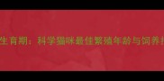 黄金生育期科学猫咪最佳繁殖年龄与饲养指南