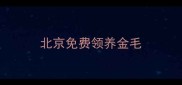 北京免费领养金毛