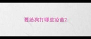 要给狗打哪些疫苗