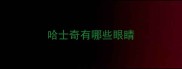 哈士奇有哪些眼睛