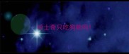 哈士奇只吃狗粮吗