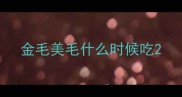 金毛美毛什么时候吃