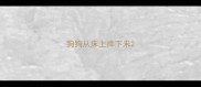 狗狗从床上摔下来