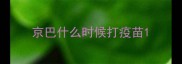 京巴什么时候打疫苗