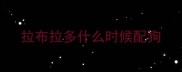拉布拉多什么时候配狗