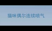 猫咪偶尔连续喷气