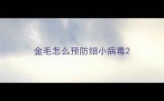 金毛怎么预防细小病毒