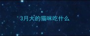 3月大的猫咪吃什么