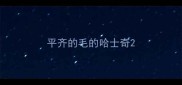 平齐的毛的哈士奇
