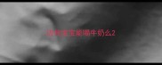 边牧宝宝能喝牛奶么