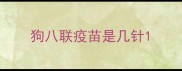 狗八联疫苗是几针