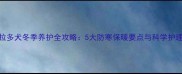 拉布拉多犬冬季养护全攻略5大防寒保暖要点与科学护理指南
