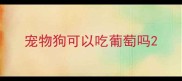 宠物狗可以吃葡萄吗