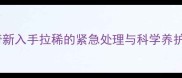 哈士奇新入手拉稀的紧急处理与科学养护指南