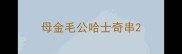 母金毛公哈士奇串