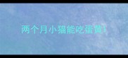 两个月小猫能吃蛋黄