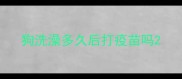 狗洗澡多久后打疫苗吗