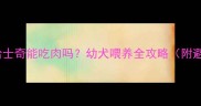 3个月大哈士奇能吃肉吗幼犬喂养全攻略附避坑清单
